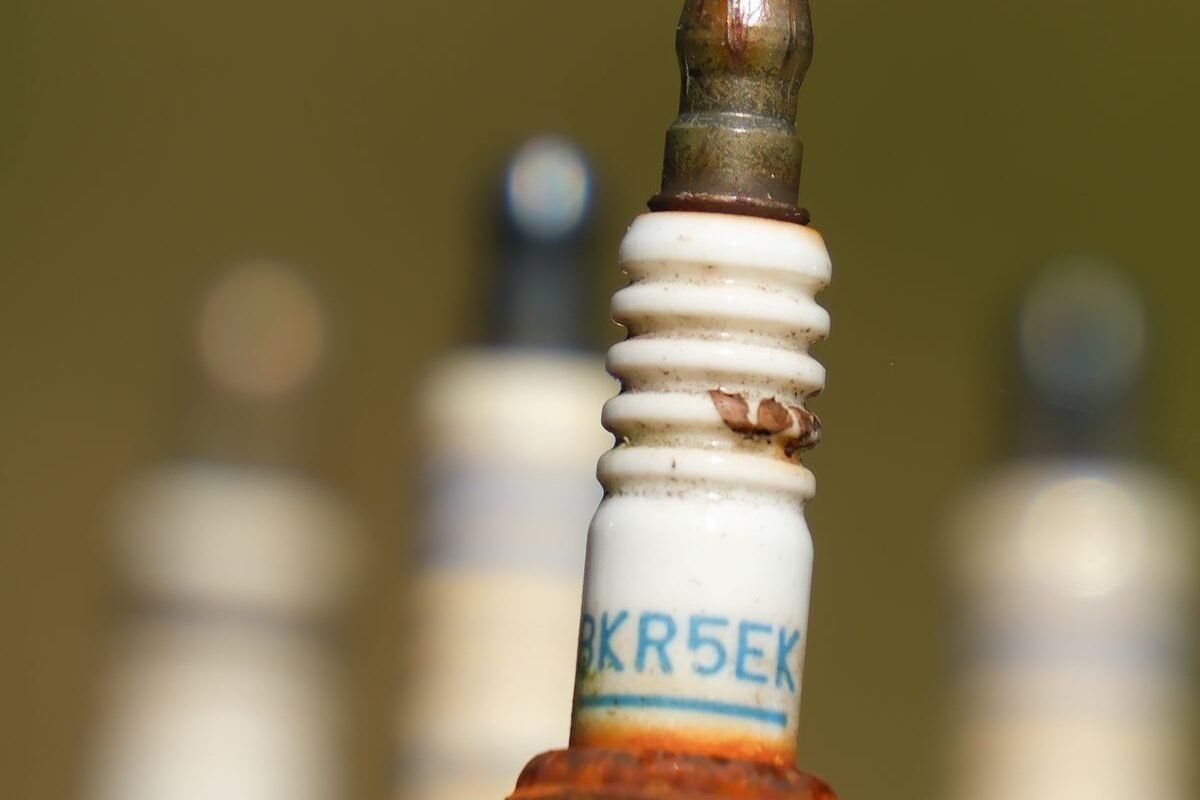 Close-up of engine plugs removed for inspection