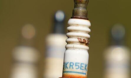Close-up of engine plugs removed for inspection
