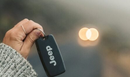Hand holding a car key fob