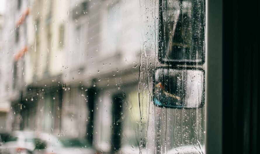 Van Interior Damp and Condensation: Finding the Leak